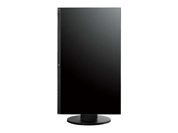 EIZO FlexScan EV2450 23.8", VGA, DVI, 1920x1080 Full HD, монитор втора употреба